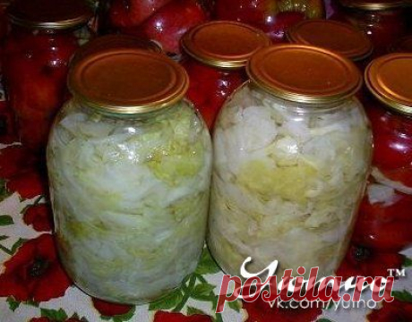 Капуста на зиму (хранится годами)