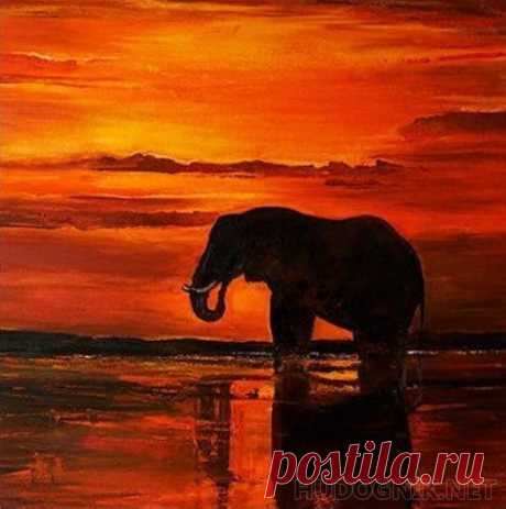 Картина Закат в Африке. Размеры: 60x60, Год: 2021, Цена: 33700 рублей Художник Матвеева Юлия Андреевна