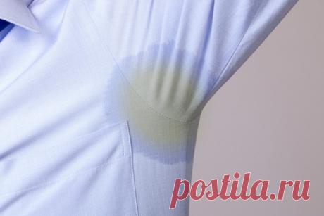 Избавляемся от пятен пота: действенные способы для различных видов тканей Пятна от пота всегда становятся проблемой. Далеко не всегда их можно отстирать обычными средствами. Гораздо чаще характерные разводы появляются на добротных шерстяных или шелковых вещах. Входят в кат…