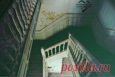 Иногда после разговора с человеком хочется дружелюбно пожать лапу собаке, улыбнуться обезьяне, поклониться слону. © М. Горький