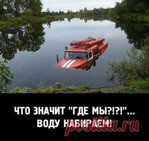 Если бы они могли говорить...