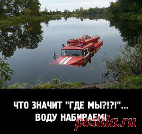 Если бы они могли говорить...