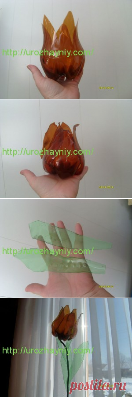 Тюльпаны из пластиковых бутылок.