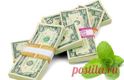 Техника "Денежное дерево" - советы для привлечения денег