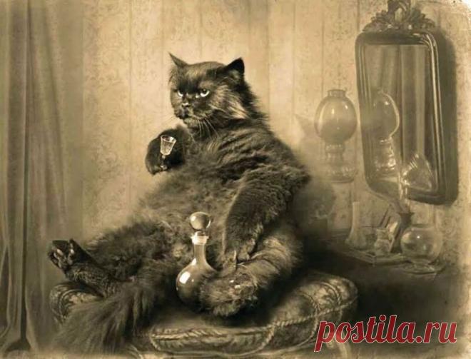 Эй человек зырь как,я умею (25 фото)