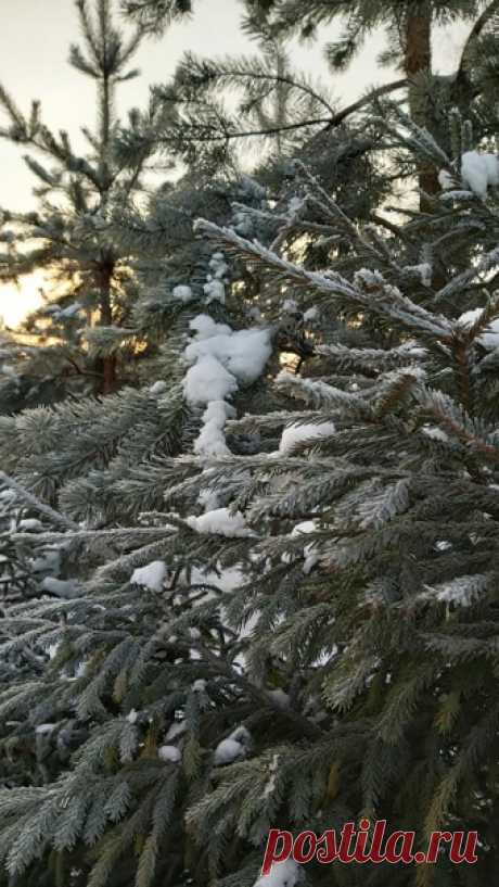 Доброе утро, чудесного дня и отличного настроения вам, милые друзья! ❤️❄️❄️❄️