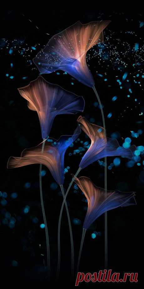 (458) Pinterest