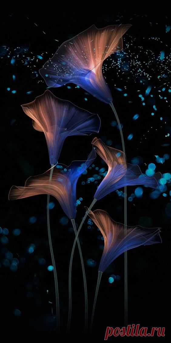 (458) Pinterest