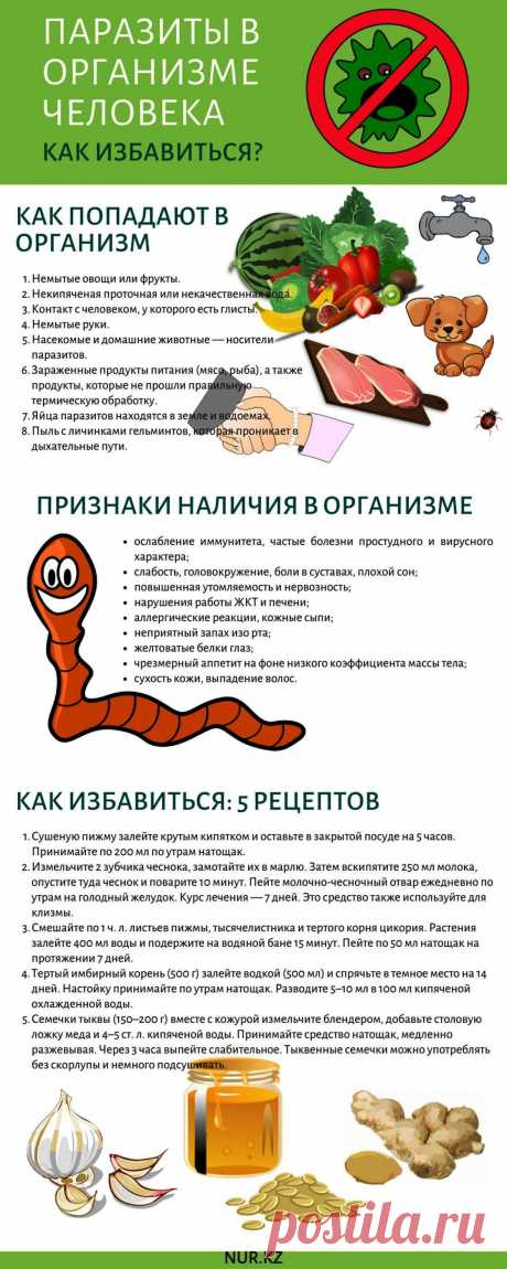 Паразиты в организме человека. Как избавиться