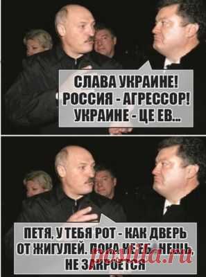Очередное «ойвсе». Штаты опять включили заднюю, нарушив весь дипэтикет