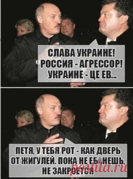 Очередное «ойвсе». Штаты опять включили заднюю, нарушив весь дипэтикет