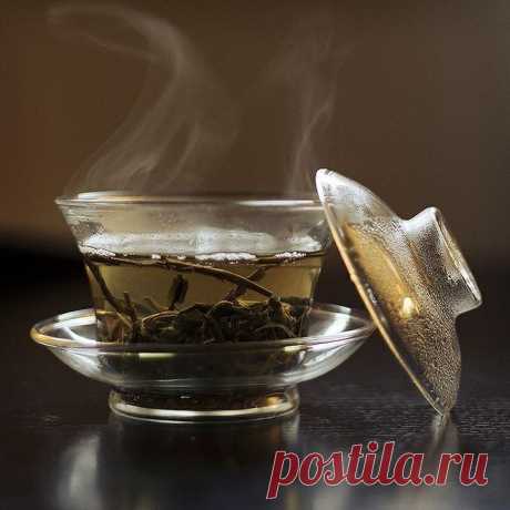 10 неоспоримых доводов раскрывающих всю пользу зелёного чая