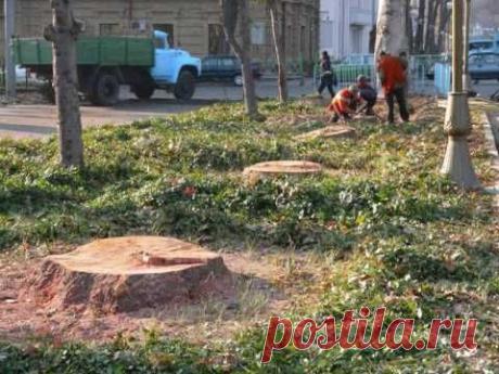 СКВЕР  РЕВОЛЮЦИИ