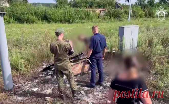 Диверсантами, которые подожгли релейный шкаф, оказались подростки. Сотрудники следственного комитета (СК) Тульской области задержали двух подростков за диверсию на железнодорожной станции Алексин.