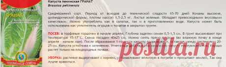 Капуста пекинская ГРАНАТ