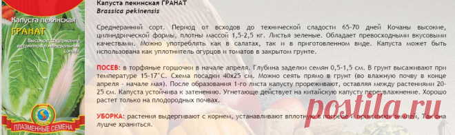Капуста пекинская ГРАНАТ