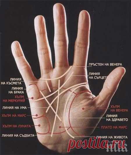 Магически тест! Белязан ли сте от чудото на хиромантията - ето...
