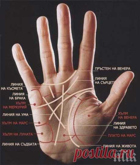 Магически тест! Белязан ли сте от чудото на хиромантията - ето...