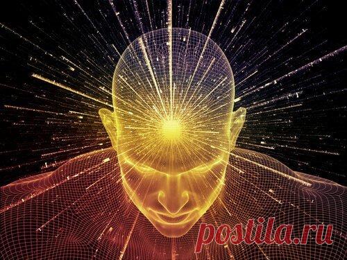 Дизайн человека: как рассчитать бодиграф Дизайн человека — это отличный способ узнать свое будущее и способы его изменения. Это превратилось в отдельную ветвь науки, ведь расчет бодиграфа довольно сложный.