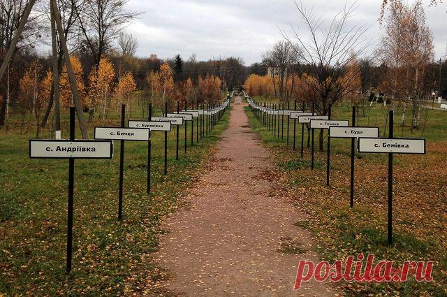 Мёртвый город Припять. Репортаж из чернобыльской зоны отчуждения «Если вы взяли с собой противогаз или костюм космонавта, можете их надеть. Добро пожаловать в чернобыльскую зону отчуждения! Территория площадью 2600 кв. км закрыта и непригодна для проживания. Вас ждёт незабываемая ночь...»