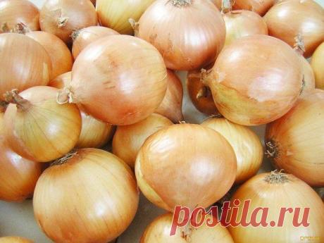 10 секретов выращивания репчатого лука .