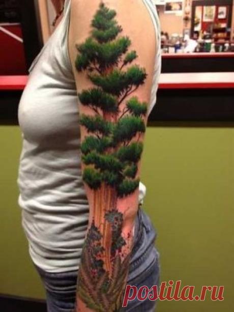 Лента по интересам. Знакомства на Tabor.ru