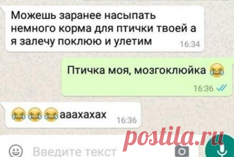 Самые сумасшедшие смс переписки - Зашибись - медиаплатформа МирТесен В наше время смс общение очень облегчило нам жизнь. Чтобы переписываться достаточно просто иметь мобильный телефон. А если в переписках присутствует юмор это просто замечательно. Представляем Вам подборку самых смешных смс перепискок, которые зарядят позитивом и хорошим настроением на целый день.