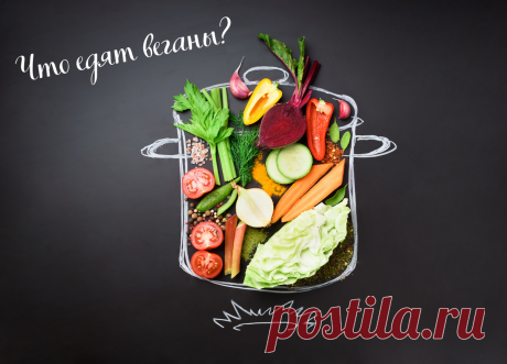 Что на самом деле едят веганы, сыроеды и другие вегетарианцы | gastronom.ru | Яндекс Дзен