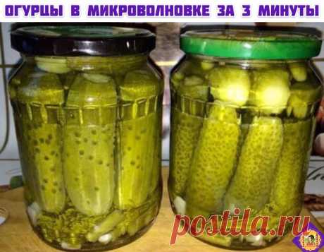 Огурцы по-болгарски в микроволновке за 3 минуты

Это самый быстрый рецепт маринования огурцов и самый вкусный.

Огурчики получаются хрустящими, остренькими просто ум отъешь!

Раньше я делала огурцы, как и большинство хозяек, то есть два раза заливала, выливала, кипятила и т.д., в общем процесс был долгим и трудоёмким. А самое главное огурцы в банке могли в один момент помутнеть и вспучиться.

С этим же способом, а я его применяю уже четвертый год у меня не вспучилась и не ...