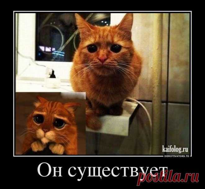 Смотрины | Обхохочешься
