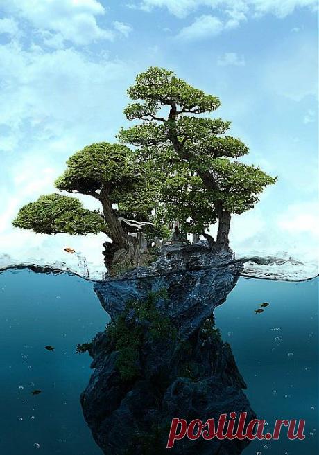 легенда о дереве
