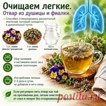 Очищаем легкие