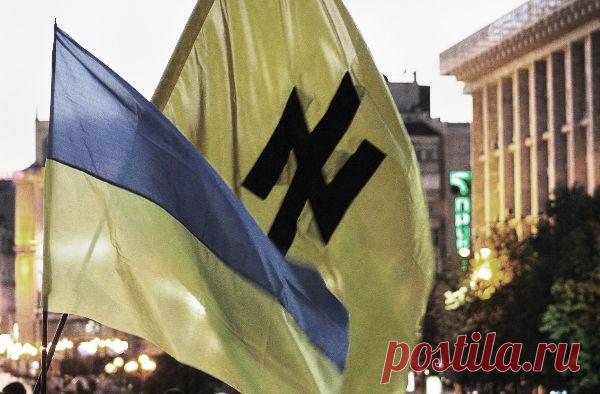 Есть ли основания трактовать кризис на Украине как фашизм? - Центр изучения кризисного общества