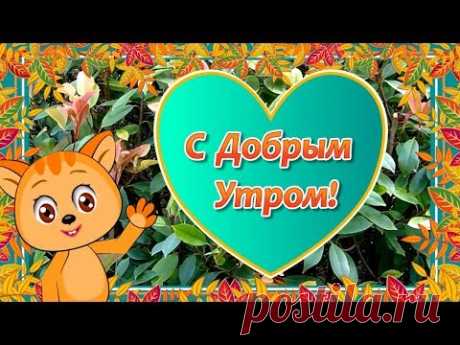 (7) Доброе Осеннее Утро🌞Пожелания с Добрым Утром🌼Доброе Утро Хорошего Дня - YouTube