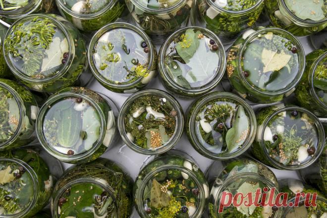 Traškūs agurkėliai žiemai: nereikės nei acto, nei kaitinti  Sandėliukuose jau rikiuojasi vasaros gėrybių pilni stiklainiai: agurkai, pomidorai, cukinijos, ...