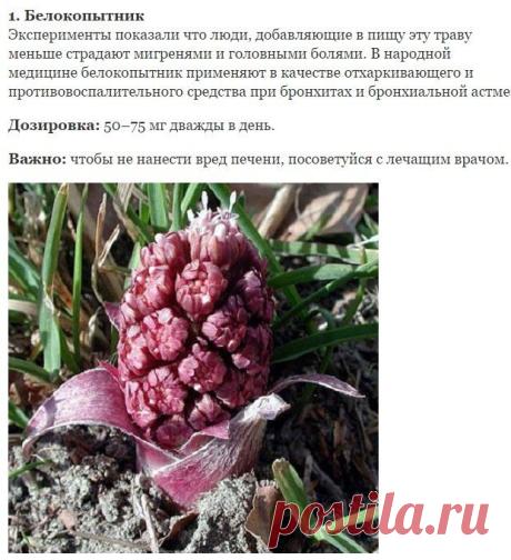 Что делать, когда наступает рассеянность, сонливость и усталость