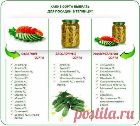 ---------------
Подписывайтесь на &quot;Я садовод&quot; https://vk.com/public96942565