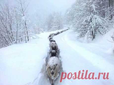 20 впечатляющих фотографий января 2015