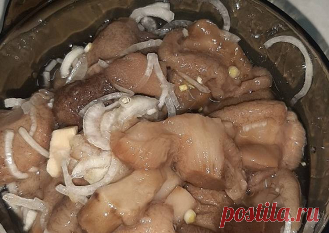(6) Маринованые маслята на зиму - пошаговый рецепт с фото. Автор рецепта Антонина Стусь . - Cookpad