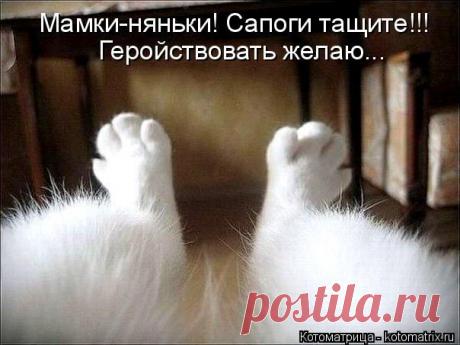 Котоматрица: Мамки-няньки! Сапоги тащите!!! Геройствовать желаю...