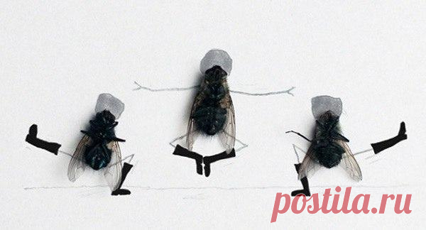 Если в офисе скучно!

1. Пробегись по офису во всю прыть. 

2. Проигнорируй первых пятерых сотрудников, которые с тобой поздороваются.