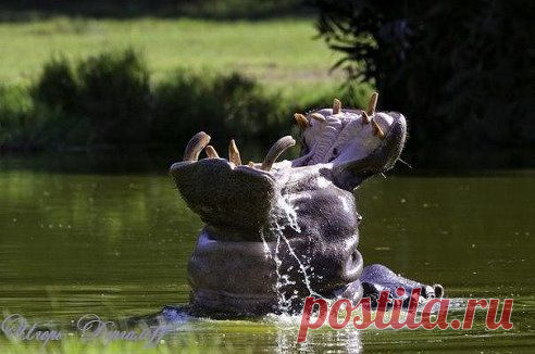Доброе утро ! )