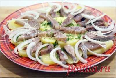 Закуска из селёдки с картофелем - Рецепты. Закуски. Закуски из рыбы и морепродуктов
