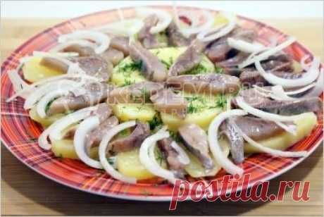 Закуска из селёдки с картофелем - Рецепты. Закуски. Закуски из рыбы и морепродуктов