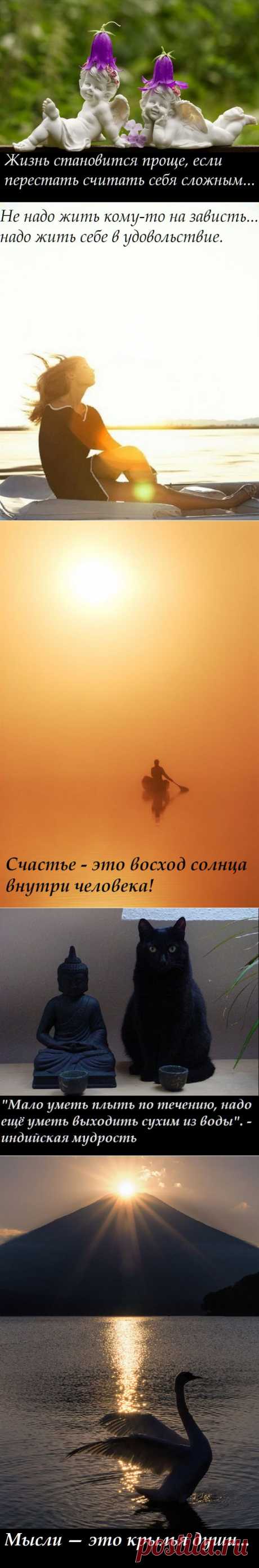 Мысли образы ( 3 часть) | Позитив в картинках и не только