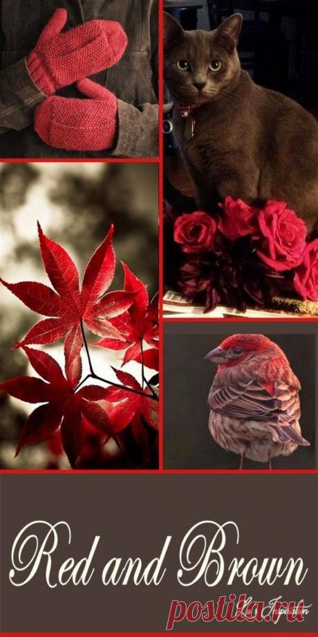 - Цветотерапия для поддержания общего здоровья глаз
- Цветотерапия при катаракте
- Цветотерапия при глаукоме
- Цветотерапия при миопии
- Цветотерапия при близорукости
- Цветотерапия при гиперметропии
- Цветотерапия при дальнозоркости