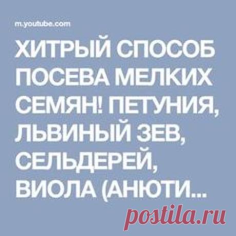 ХИТРЫЙ СПОСОБ ПОСЕВА МЕЛКИХ СЕМЯН! ПЕТУНИЯ, ЛЬВИНЫЙ ЗЕВ, СЕЛЬДЕРЕЙ, ВИОЛА (АНЮТИНЫ ГЛАЗКИ)! - YouTube