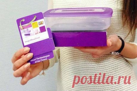 Сибирские студентки разработали контейнеры, разогревающие еду по SMS - be-in.ru