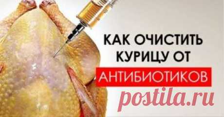 Эти три способа уберегут твою семью от вредоносных химикатов. Важно для каждой хозяйки. К сожалению, времена, когда курочки беззаботно бегали по огороду и питались зерном и зеленой травкой, закончились. Теперь мясо птицы попадает к нам с огромных птицефабрик, где кур и индюков пичкают комбикормами и гормонами. А если птицы болеют, то их, как и людей, лечат всевозможными антибиотиками, которые остаются в организме еще в течение 7–10 дней после применения.  Но так как узнать...