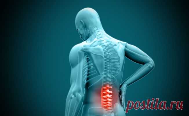 Дешевое подсолнечное масло оказалось самым качественным